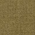 HT0071 var.500